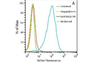 Uptake of 20nM CXCL12-biotin by U937 cells in the presence (red trace) and absence (cyan) of a CXCR4 inhibitor, AMD 3100. (CXCL12 Protein (AA 24-89) (Biotin))