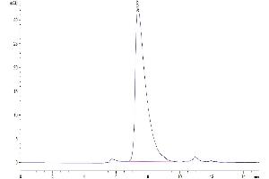 Size-exclusion chromatography-High Pressure Liquid Chromatography (SEC-HPLC) image for Cell Adhesion Molecule 1 (CADM1) (AA 45-374) protein (His tag) (ABIN7274016)