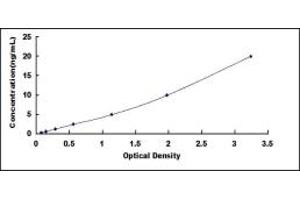 Typical standard curve (Phospholipase C gamma 2 ELISA 试剂盒)