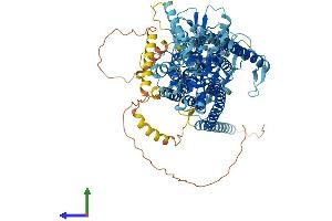 Protein Structure (PS) image for Anoctamin 4 (ANO4) (AA 1-955) protein (His tag) (ABIN7564516)