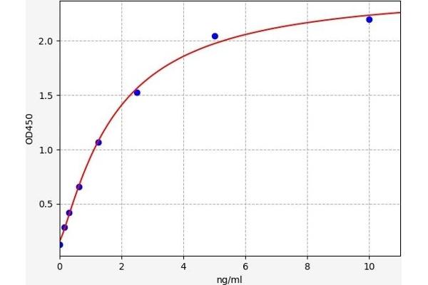 HMGCS1 ELISA 试剂盒