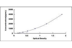 ELISA image for Coagulation Factor VII (F7) ELISA Kit (ABIN432388)