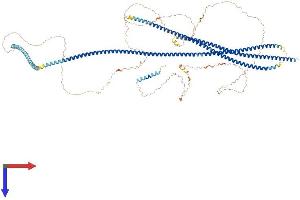 TATA Element Modulatory Factor 1 (TMF1) (AA 1-1093) protein (His tag)