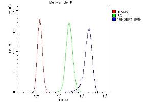 Flow Cytometry analysis of A431 cells using anti-ARHGEF1 antibody (ABIN4886475).