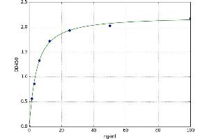 A typical standard curve (Caspase 9 ELISA 试剂盒)