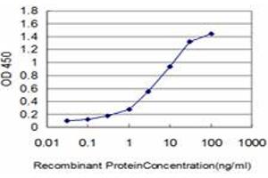 Detection limit for recombinant GST tagged HOXC10 is approximately 0. (HOXC10 抗体  (AA 158-257))