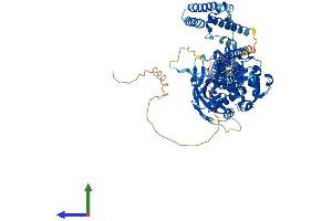 Protein Structure (PS) image for Signal Transducer and Activator of Transcription 5B (STAT5B) (AA 1-786) protein (His tag) (ABIN7563243)