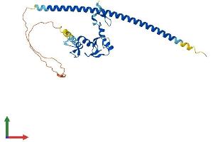 Protein Structure (PS) image for Family with Sequence Similarity 76, Member A (FAM76A) (AA 1-307) protein (His tag) (ABIN7547618)