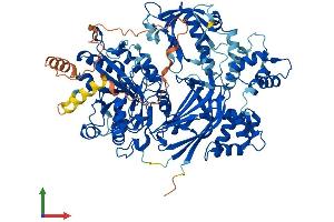 Protein Structure (PS) image for Phospholipase C, delta 4 (PLCD4) (AA 1-807) protein (His tag) (ABIN7564658)