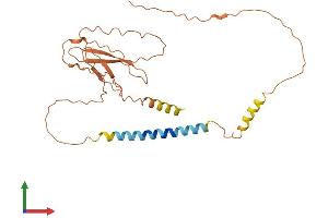 AlphaFold protein structure predicition of Human Recombinant C17orf78 Protein, UniprotID Q8N4C9