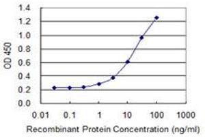 ELISA image for anti-Solute Carrier Family 39 (Zinc Transporter), Member 10 (SLC39A10) (AA 514-621) antibody (ABIN528136)