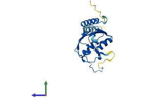 Protein Structure (PS) image for Phospholipase D Family, Member 6 (PLD6) (AA 1-221) protein (His tag) (ABIN7563850)