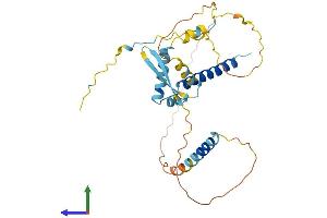 Protein Structure (PS) image for Craniofacial Development Protein 1 (CFDP1) (AA 1-299) protein (His tag) (ABIN7553461)