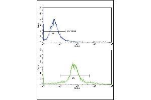 Flow Cytometry (FACS) image for anti-Ets Variant 4 (ETV4) (AA 419-447), (C-Term) antibody (ABIN390582)