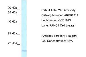 Western Blotting (WB) image for anti-Lymphocyte Antigen 96 (LY96) (C-Term) antibody (ABIN786363) (LY96 抗体  (C-Term))