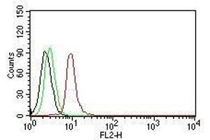 Flow Cytometric analysis of human Cyclin D1 on Jurkat cells. (Cyclin D1 抗体  (PE))