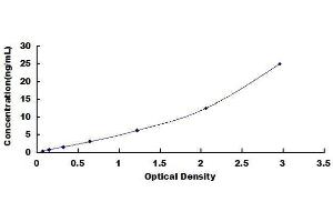 ELISA image for Angiotensin I Converting Enzyme (Peptidyl-Dipeptidase A) 1 (ACE) ELISA Kit (ABIN1028110)