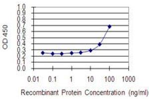 Detection limit for recombinant GST tagged KIF3B is 3 ng/ml as a capture antibody. (KIF3B 抗体  (AA 648-747))