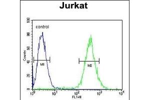 GLRX5 Antibody (C-term) (ABIN651225 and ABIN2840140) flow cytometric analysis of Jurkat cells (right histogram) compared to a negative control cell (left histogram). (GLRX5 抗体  (C-Term))