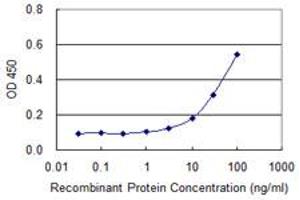 Detection limit for recombinant GST tagged DAXX is approximately 1ng/ml as a capture antibody. (DAXX 抗体  (AA 561-660))