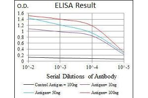 Black line: Control Antigen (100 ng), Purple line: Antigen(10 ng), Blue line: Antigen (50 ng), Red line: Antigen (100 ng), (TWF1 抗体  (AA 335-384))