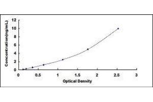 ELISA image for Transthyretin (TTR) ELISA Kit (ABIN424463)