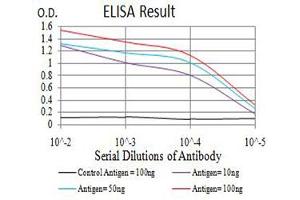 Black line: Control Antigen (100 ng),Purple line: Antigen (10 ng), Blue line: Antigen (50 ng), Red line:Antigen (100 ng) (CHRNA6 抗体  (AA 26-239))