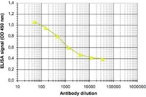 ELISA was performed using a serial dilution of AOF2 polyclonal antibody . (LSD1 抗体  (N-Term))