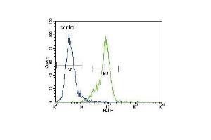 Dnmt1 Antibody (C-term ) (ABIN387878 and ABIN2844085) flow cytometric analysis of MDA-M cells (right histogram) compared to a negative control cell (left histogram). (DNMT1 抗体  (C-Term))