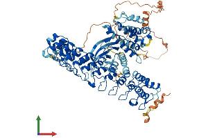 Protein Structure (PS) image for Receptor-Interacting Serine-threonine Kinase 4 (RIPK4) (AA 1-786) protein (His tag) (ABIN7561439)