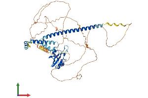 Protein Structure (PS) image for Glucocorticoid Modulatory Element Binding Protein 2 (GMEB2) (AA 1-530) protein (His tag) (ABIN7556532)