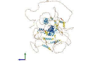 Protein Structure (PS) image for Teashirt Zinc Finger Homeobox 3 (TSHZ3) (AA 1-1081) protein (His tag) (ABIN7555860)
