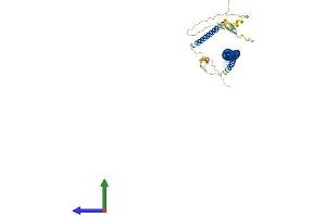 AlphaFold protein structure predicition of Mouse Recombinant Tuft1 Protein, UniprotID O08970