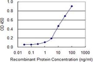 Detection limit for recombinant GST tagged WT1 is 0. (WT1 抗体  (AA 349-439))