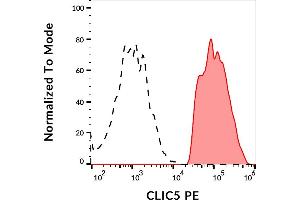 Separation of CLIC5 transfected HEK-293 cells stained using anti-CLIC5 (CLIC5-02) PE antibody (concentration in sample 3 μg/mL, red-filled) from unstained CLIC5 transfected HEK-293 cells (GAM APC, black-dashed) in flow cytometry analysis (intracellular staining).