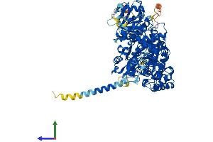 Protein Structure (PS) image for N-Deacetylase/N-Sulfotransferase (Heparan Glucosaminyl) 2 (NDST2) (AA 1-883) protein (His tag) (ABIN7563423)