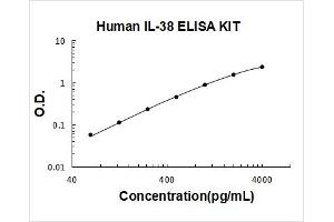 Interleukin 1 Family, Member 10 (Theta) (IL1F10) ELISA Kit