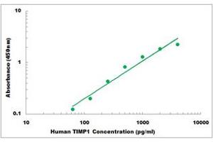 Representative Standard Curve (TIMP1 ELISA 试剂盒)