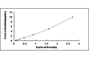 Typical standard curve (PIK3C2A ELISA 试剂盒)