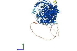 Protein Structure (PS) image for Glucosidase, beta (Bile Acid) 2 (GBA2) (AA 1-918) protein (His tag) (ABIN7564019)