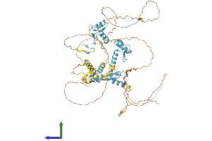 Protein Structure (PS) image for Zinc Finger Protein 276 (ZNF276) (AA 1-614) protein (His tag) (ABIN7545455)
