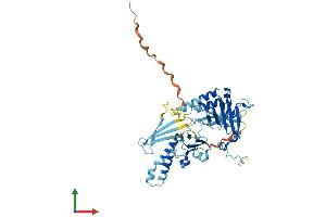 Protein Structure (PS) image for Zinc Finger Protein 259 (znf259) (AA 1-459) protein (His tag) (ABIN7545508)