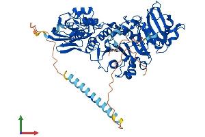 Protein Structure (PS) image for Protein O-Linked Mannose Beta1,2-N-Acetylglucosaminyltransferase (POMGNT1) (AA 1-660) protein (His tag) (ABIN7555044)