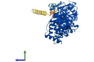 Protein Structure (PS) image for Ras Homolog Gene Family, Member T1 (RHOT1) (AA 1-618) protein (His tag) (ABIN7549485)