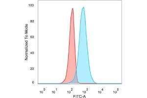 Flow Cytometric Analysis of PFA-fixed U87 cells CELF2 Mouse Monoclonal Antibody (PCRP-CELF2-1E4)followed by goat anti-mouse IgG-CF488 (blue), unstained cells (red).
