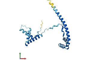 Protein Structure (PS) image for High Mobility Group Box 4 (HMGB4) (AA 1-186) protein (His tag) (ABIN7548301)