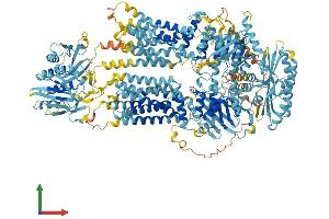 Protein Structure (PS) image for ATP-Binding Cassette, Sub-Family A (ABC1), Member 9 (ABCA9) (AA 1-1624) protein (His tag) (ABIN7551760)