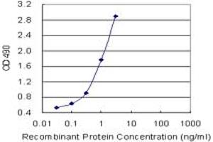 Sandwich ELISA detection sensitivity ranging from 1 ng/mL to 100 ng/mL. (ACTN4 (人) Matched Antibody Pair)