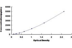 Typical standard curve (Adenosine A2b Receptor ELISA 试剂盒)