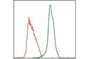 Image no. 3 for anti-Myeloproliferative Leukemia Virus Oncogene (MPL) antibody (ABIN1497161) (MPL 抗体)